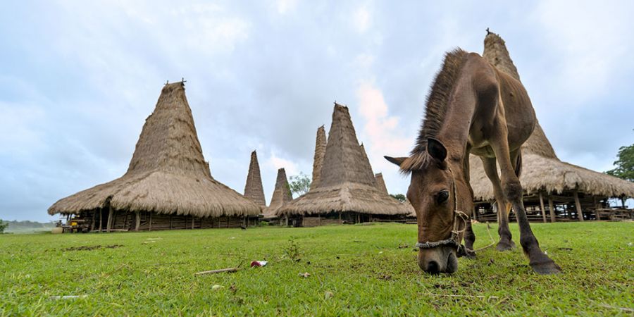 Paket Wisata Pulau Sumba: 6 Destinasi Eksotis Paling Recommended
