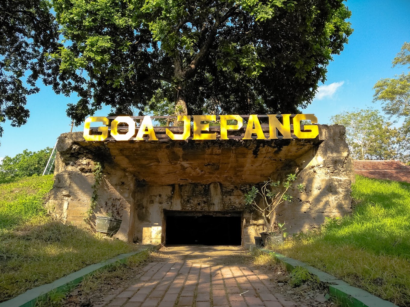 Itinerary-ke-Taman-Nasional-Baluran-Dalam-1-Hari