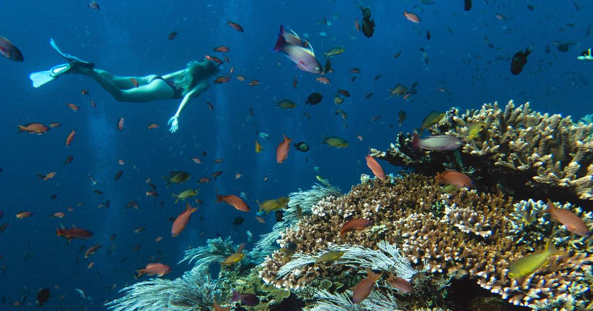 4-Daya-Tarik-Pulau-Menjangan-Taman-Nasional-Bali-Barat-Seperti-di-Maldives