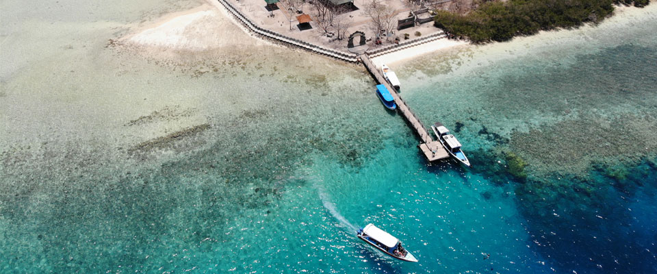 Spot Snorkeling Paling Recommended di Pulau Menjangan Bali, Favorit Wisatawan!