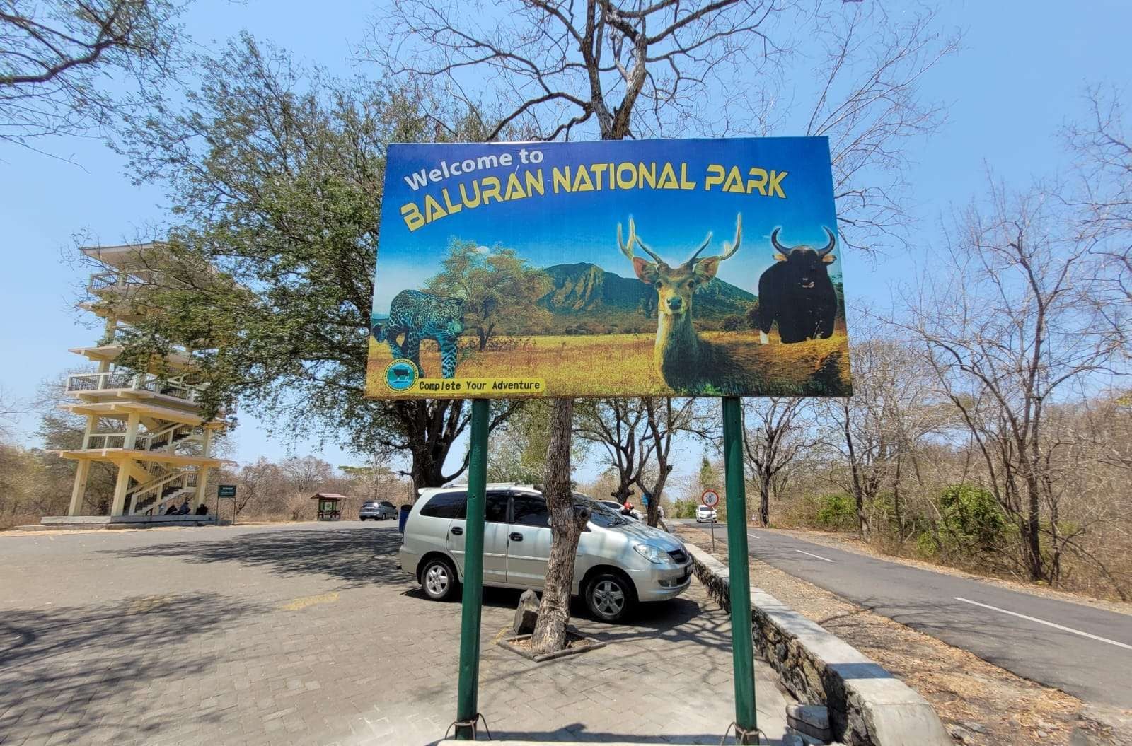 Fakta Menarik Taman Nasional Baluran. Wajib Tahu Sebelum Berkunjung