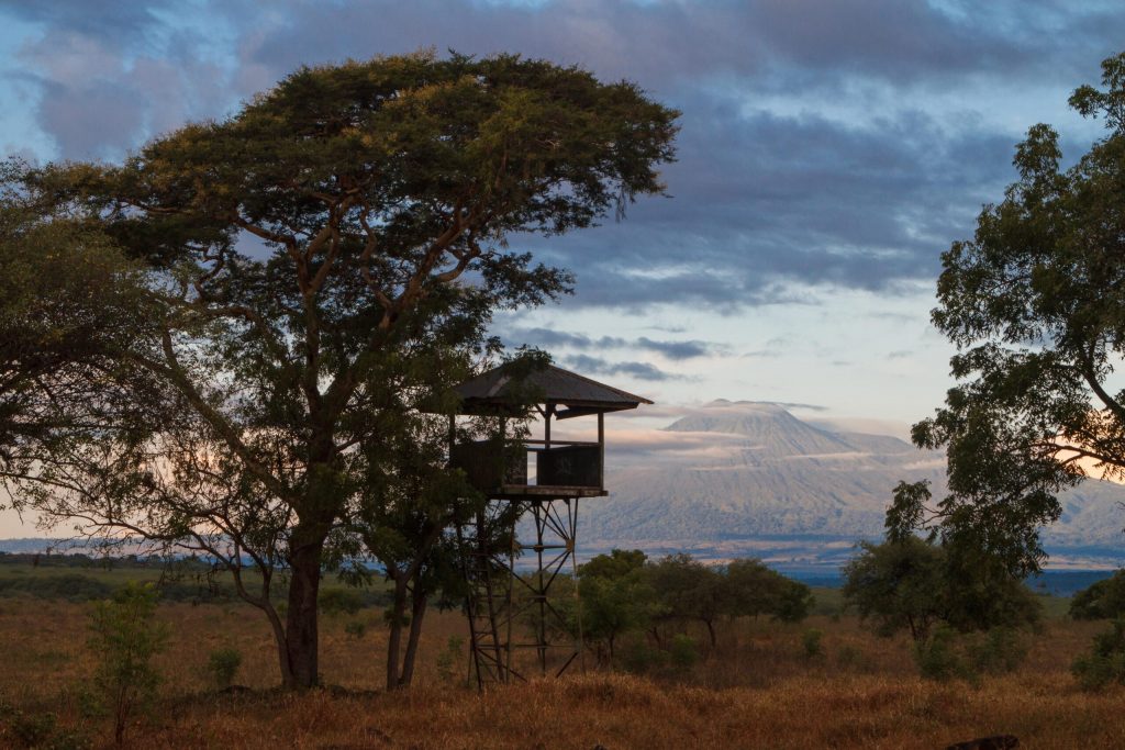 Fakta Menarik Taman Nasional Baluran. Wajib Tahu Sebelum Berkunjung