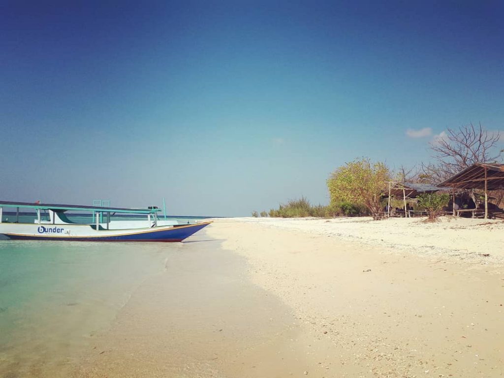 Spot Diving Ikonik di Pulau Menjangan dan Tabuhan, Masuk Aquarium Alami yang Luar Biasa