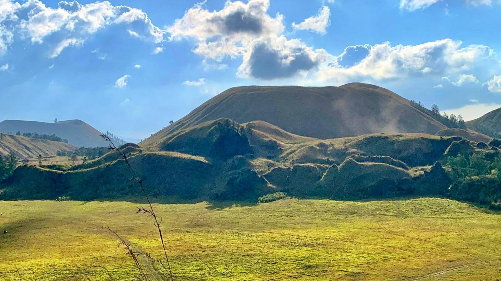 Yuk Intip Fakta Unik Kawah Wurung, Wisata Bukit Savana Eksotis di Bondowoso